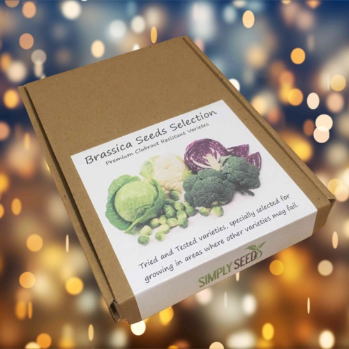 Brassica Seeds Selection Box